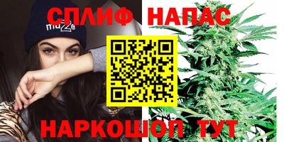 PSILOCYBIN Вязники