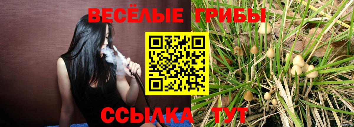 Галлюциногенные грибы прущие грибы  Вход с VPN  Похвистнево 